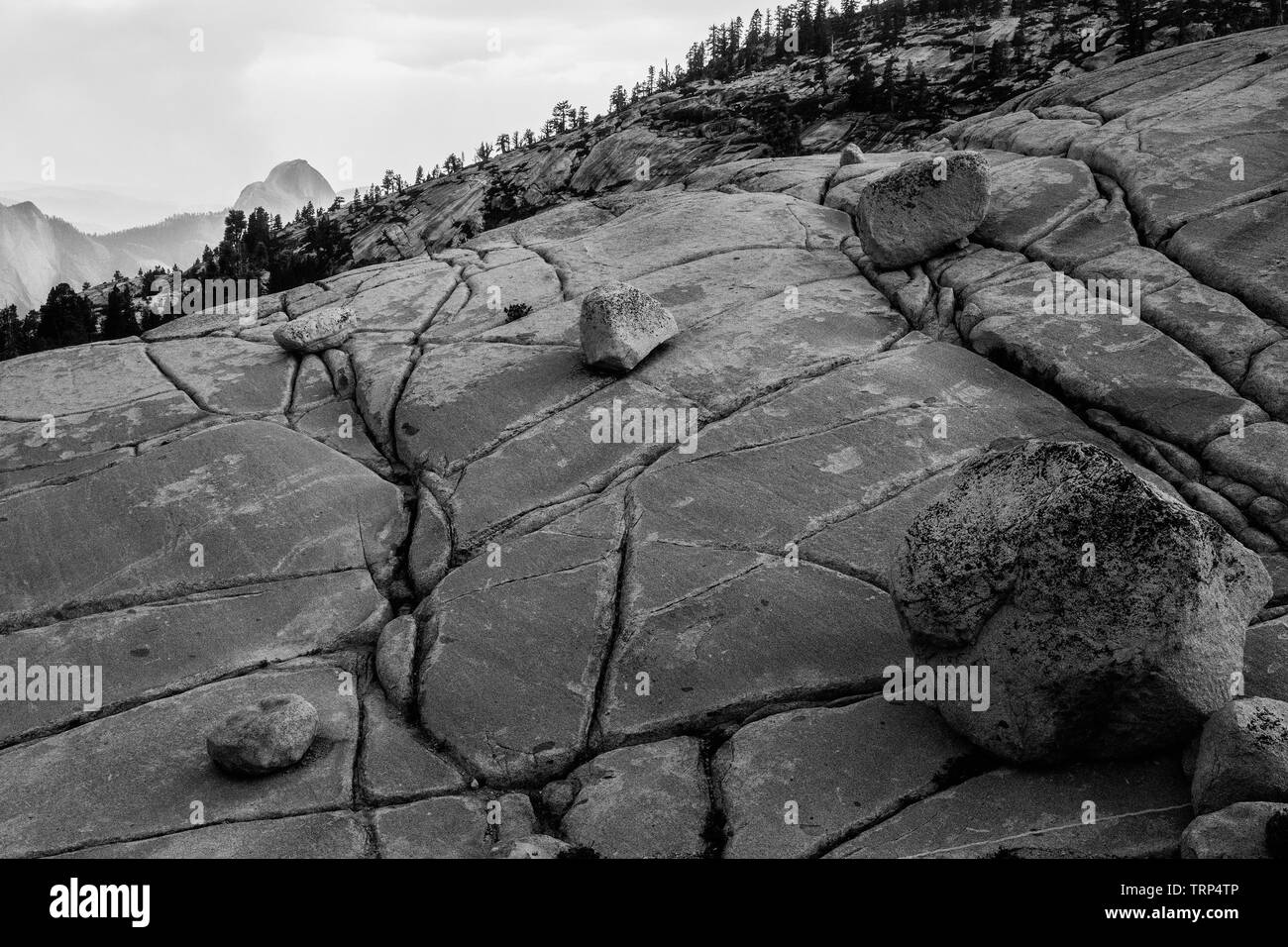 Tioga Pass Road,California, Lee Vining,Yosemite-Nationalpark,montañas,árbol,pino, piedras,Valle,Landschaftsaufnahme,Schwarz/Weiss Foto de stock