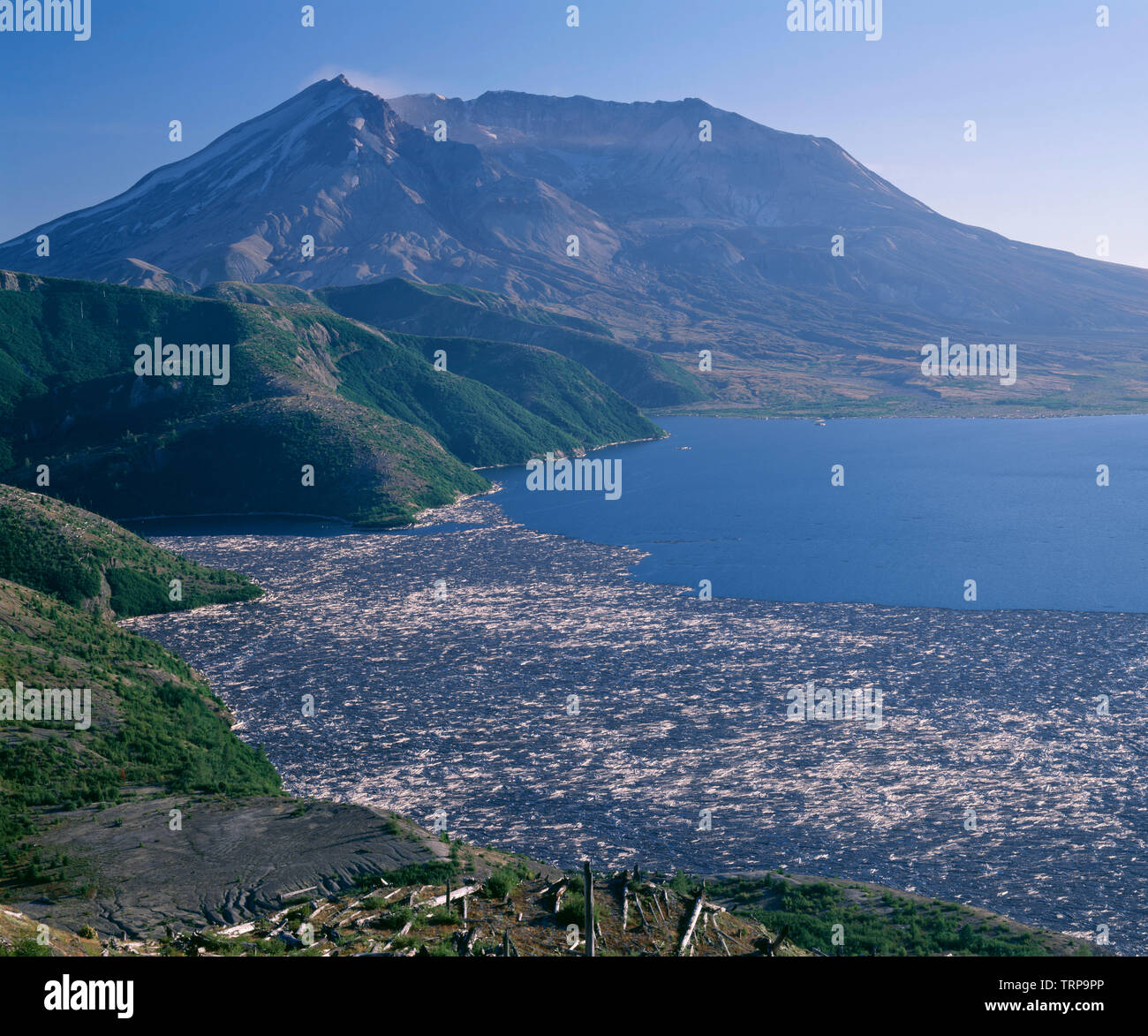 Ee.Uu., Washington, Mt. Santa Helena Monumento Nacional Volcánico, vista desde Independence Pass con registros sobre el lago Spirit y Mt. Santa Helena. Foto de stock