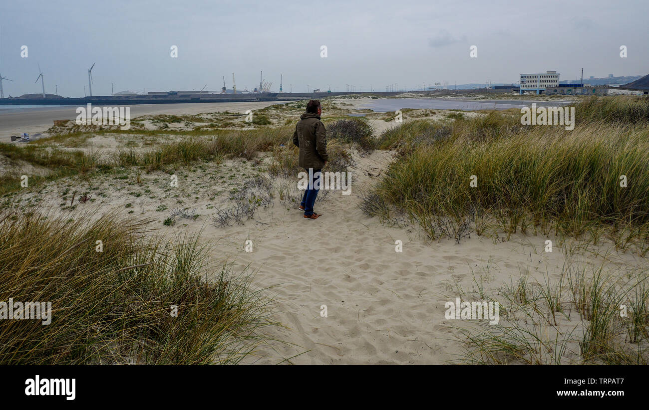 Vista trasera de un hombre que camina en las dunas de arena, de Boulogne-sur-Mer, Hauts de Francia, Francia Foto de stock