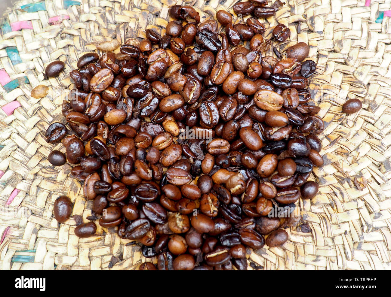 Los granos de café recién tostados en bandeja de pasto Foto de stock
