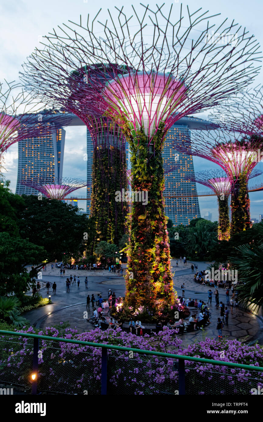 Jardín por el espectáculo de luces de la bahía Marina Bay Sands, en el fondo, Singapur. Foto de stock