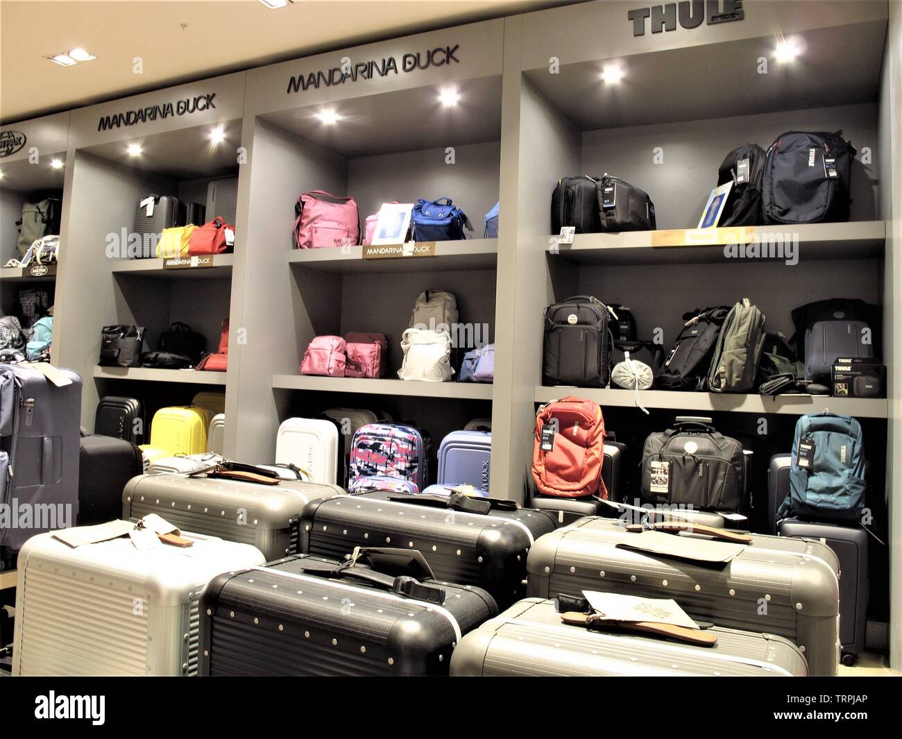 Bolsos de Mandarina Duck y maletas en la Rinascente tienda de moda en Roma  Fotografía de stock - Alamy