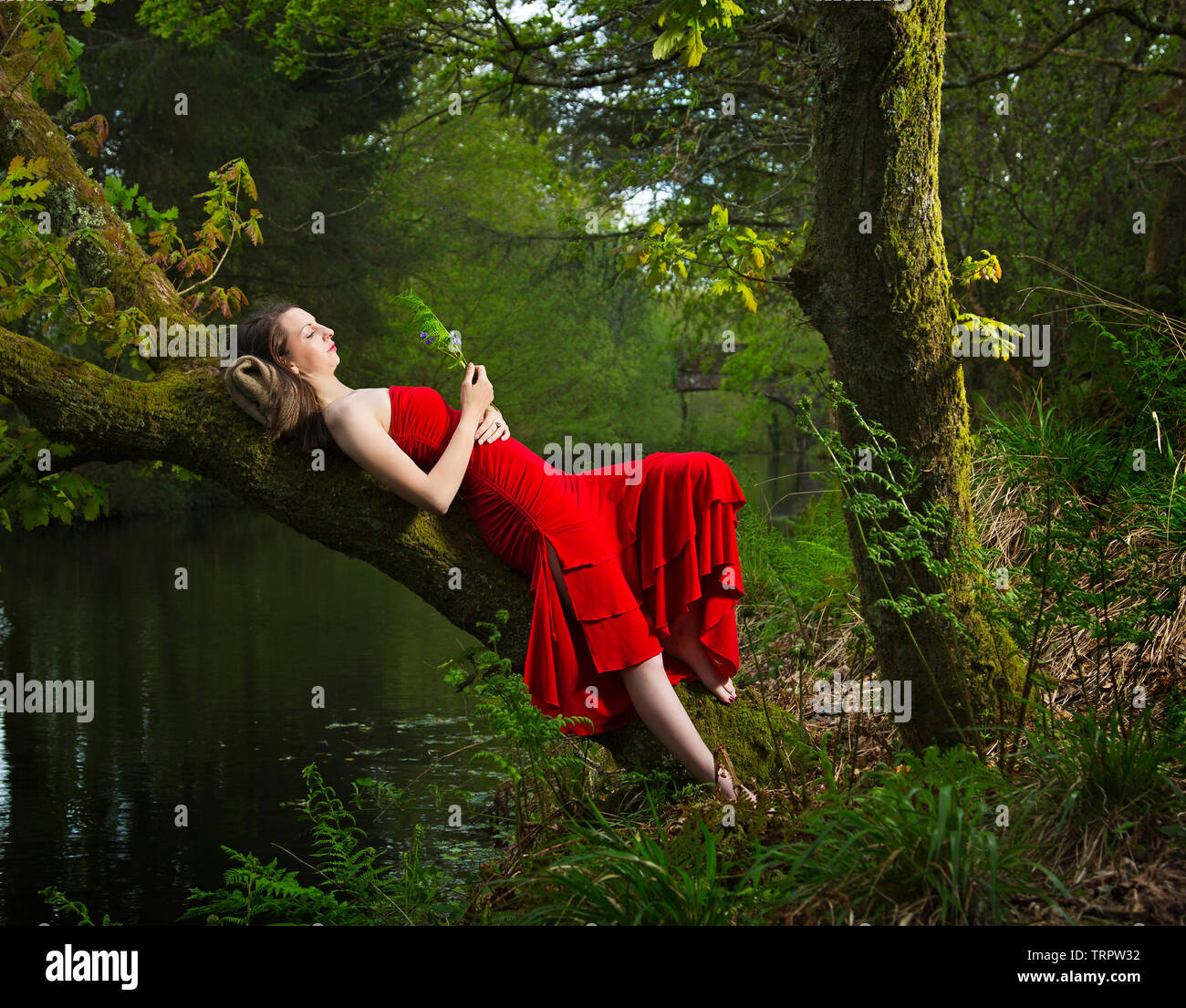 Una mujer en un vestido rojo recostada en un árbol Foto de stock