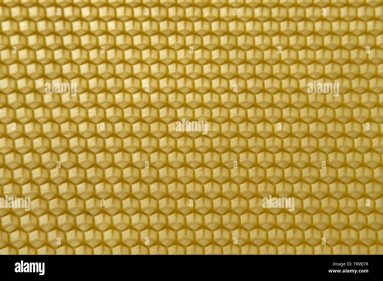 Panal de celdas hexagonales de cera Foto de stock