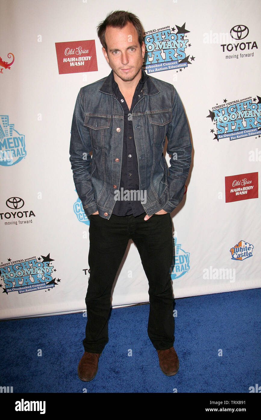 Nueva York, Estados Unidos. 13 de abril de 2008. Arnett en Comedy Central's Night de demasiadas estrellas alojado por Jon Stewart en el Beacon Theater. Crédito: Steve Mack/Alamy Foto de stock