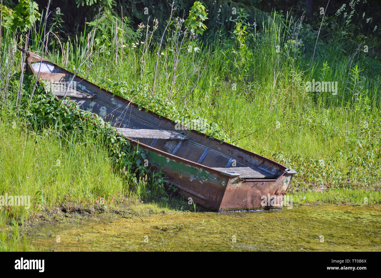 Oxidado viejo bote de remos en el estanque las malezas Foto de stock