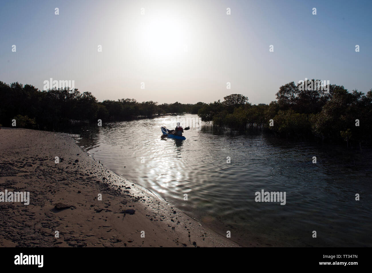 Kayak en el manglar de Sir Bani Yas, una isla en el Golfo Pérsico, los Emiratos Árabes Unidos. Foto de stock