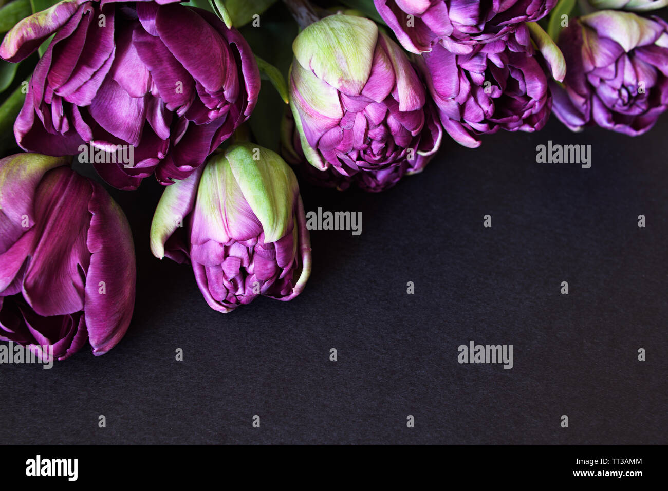 Flores de papel morado fotografías e imágenes de alta resolución - Página 8  - Alamy