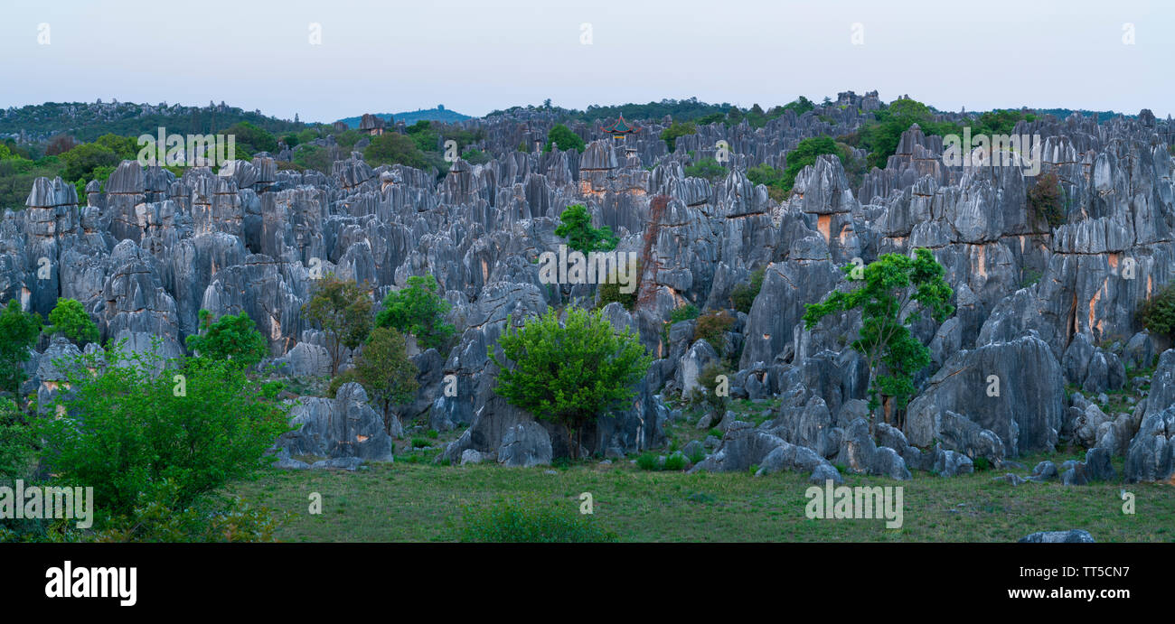 Extrañas formaciones rocosas de piedra caliza, El Bosque de Piedras de Shilin, Yi Condado Autónomo, provincia de Yunnan, China, Asia, Sitio del Patrimonio Mundial de la UNESCO Foto de stock