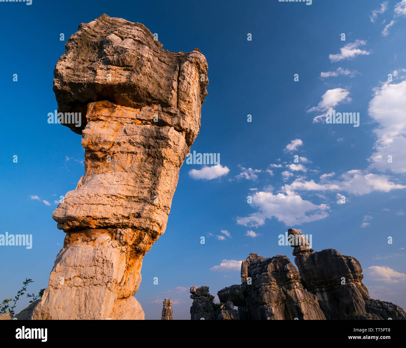 Extrañas formaciones rocosas de piedra caliza, El Bosque de Piedras de Shilin, Yi Condado Autónomo, provincia de Yunnan, China, Asia, Sitio del Patrimonio Mundial de la UNESCO Foto de stock