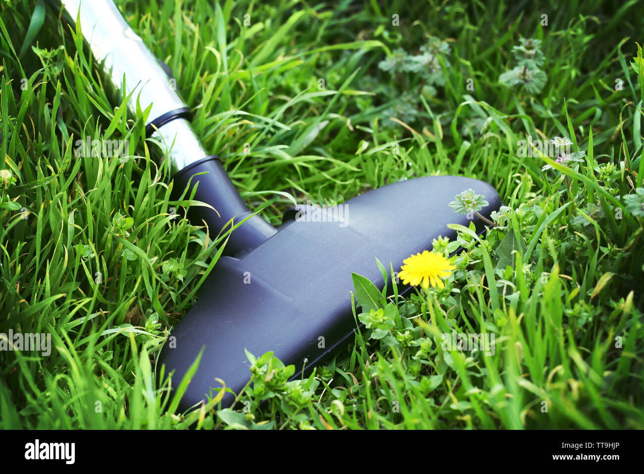 Tubo metálico de aspirador en acción - limpiar alfombras de césped verde  real. Concepto de ecología Fotografía de stock - Alamy