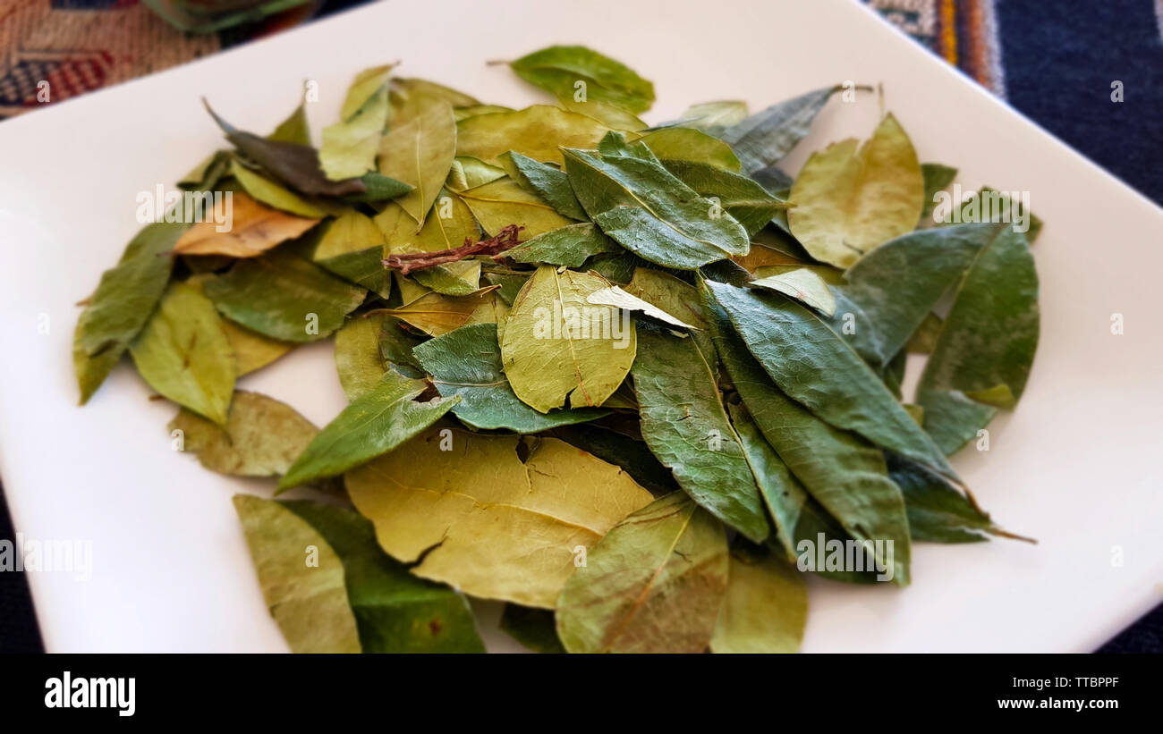 Un plato de hojas de coca. En Bolivia, las hojas de coca se venden en