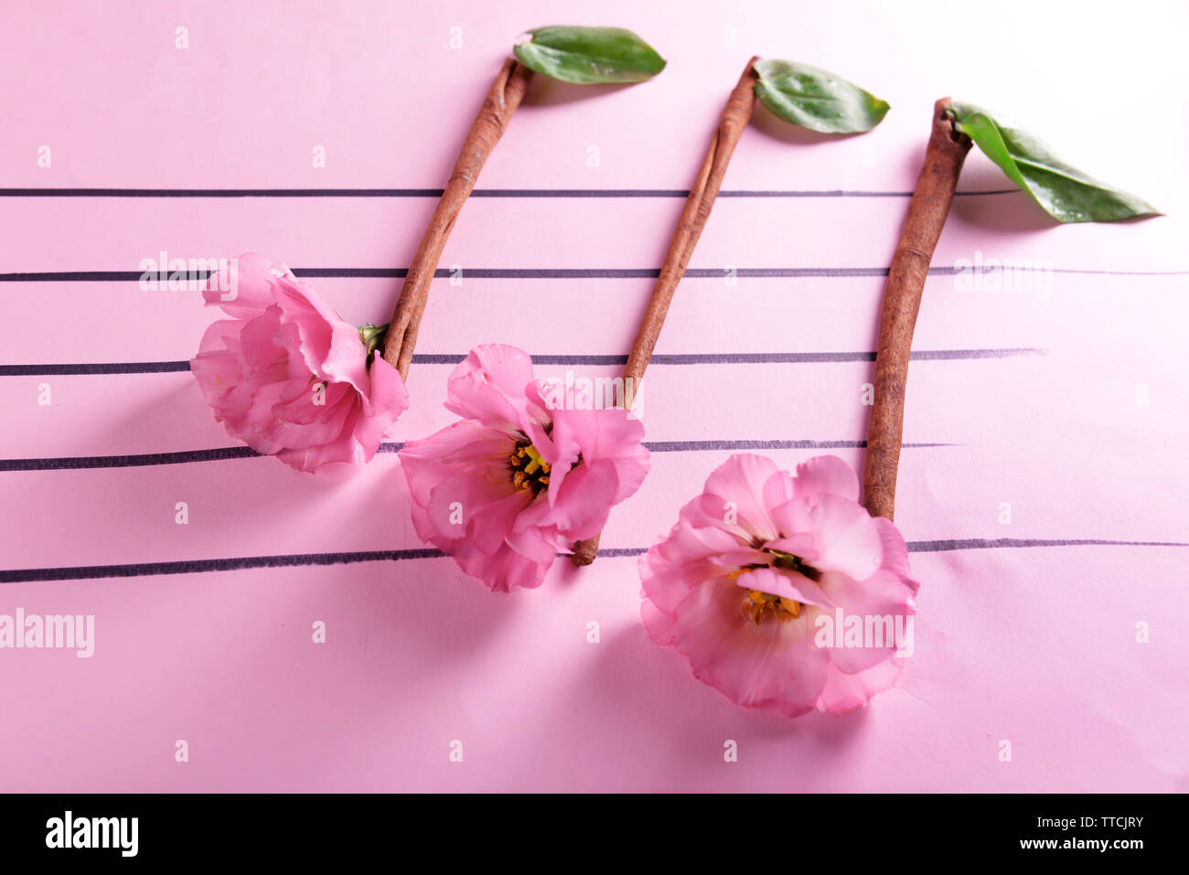 Notas musicales creativas hechas de flores de color rosa de fondo  Fotografía de stock - Alamy