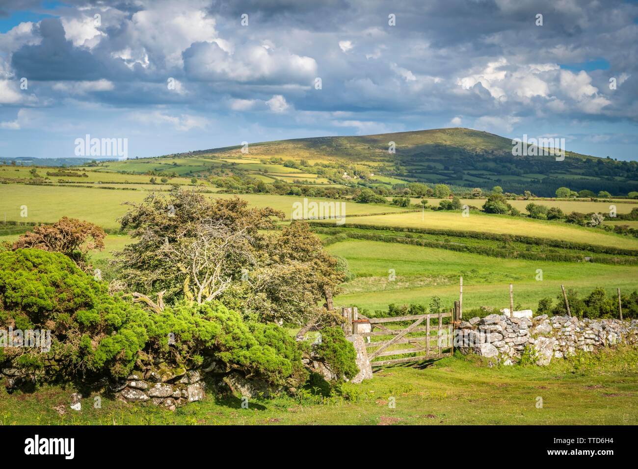 Una de las muchas fronteras que cruzan el paisaje del Parque Nacional de Dartmoor, en Devon, Inglaterra. Foto de stock