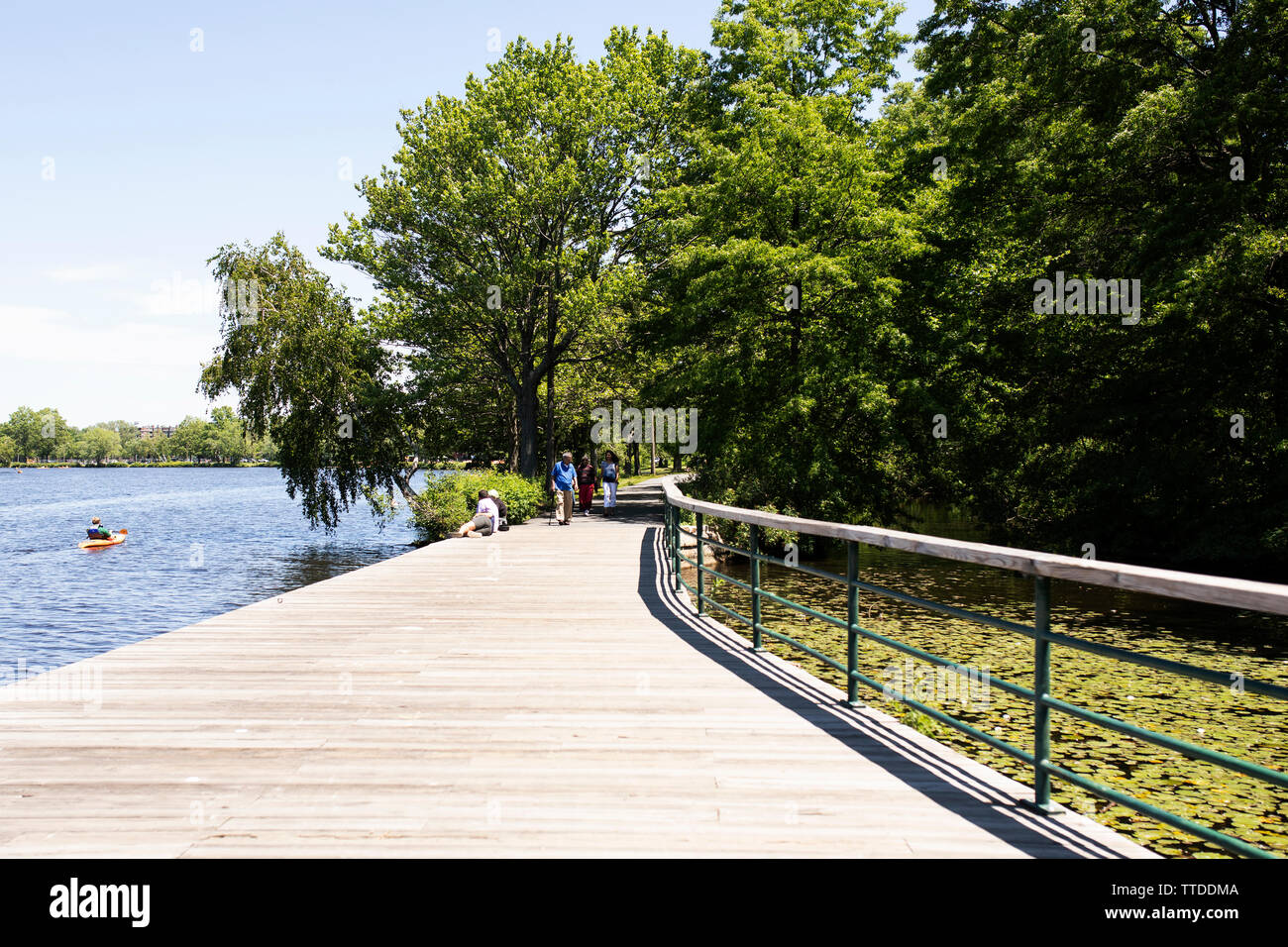 Un día de verano en el paseo marítimo a lo largo del Río Charles en Christian Herter Park en Boston, Massachusetts, EE.UU. Foto de stock