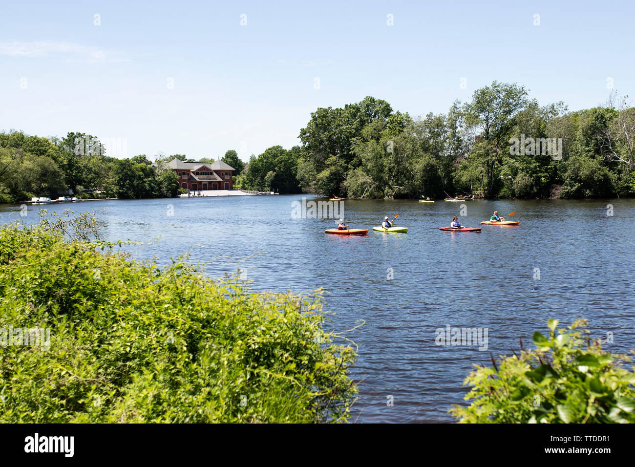 Los palistas viajar al Charles River en un hermoso día de verano en Christian Herter Park en Boston, Massachusetts, EE.UU. Foto de stock