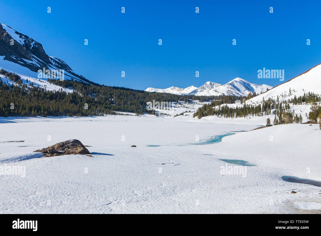 El Tioga lago congelado en la autopista 120 (el Tioga Pass ) en la parte oriental de Sierra Nevada de California, EE.UU. De junio de 2019. Foto de stock