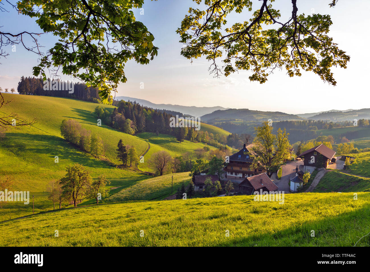 Casa de granja solitaria en el paisaje montañoso, St.Märgen, Selva Negra, Baden-Wurttemberg, Alemania Foto de stock
