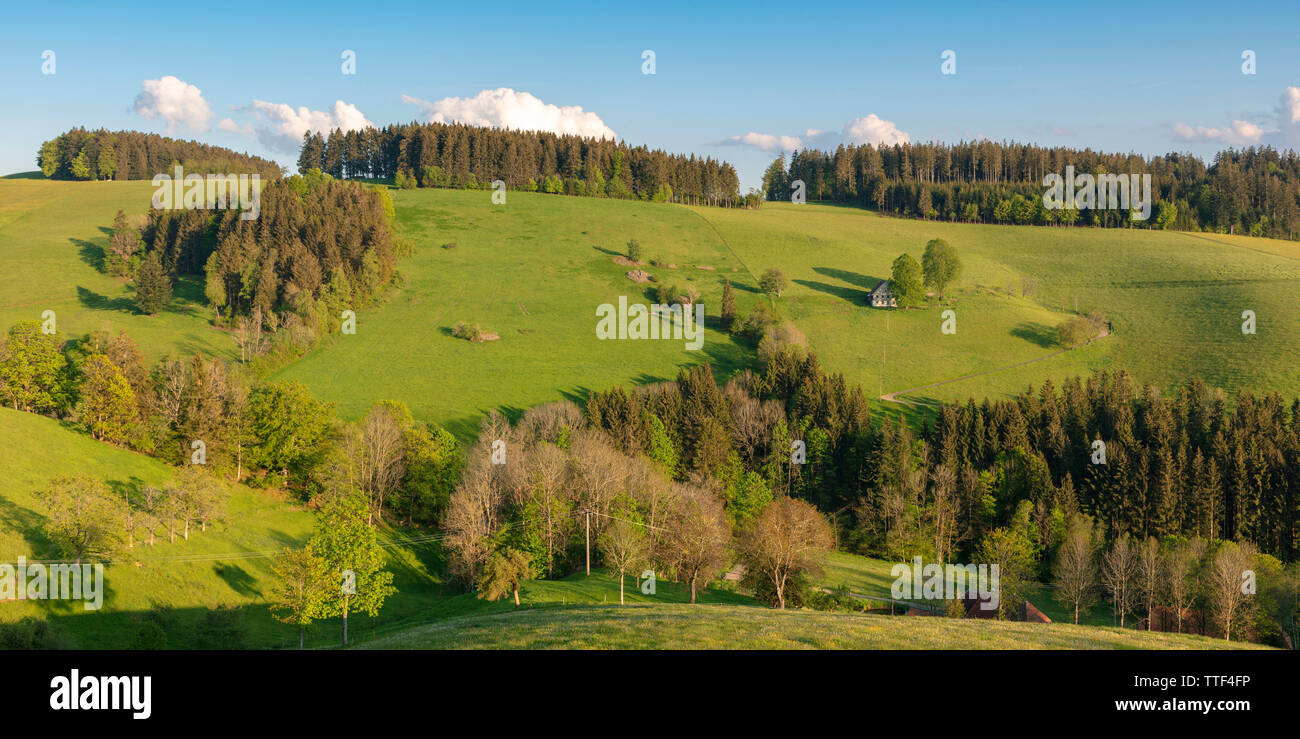 Casa de granja solitaria en el paisaje montañoso, St.Märgen, Selva Negra, Baden-Wurttemberg, Alemania Foto de stock