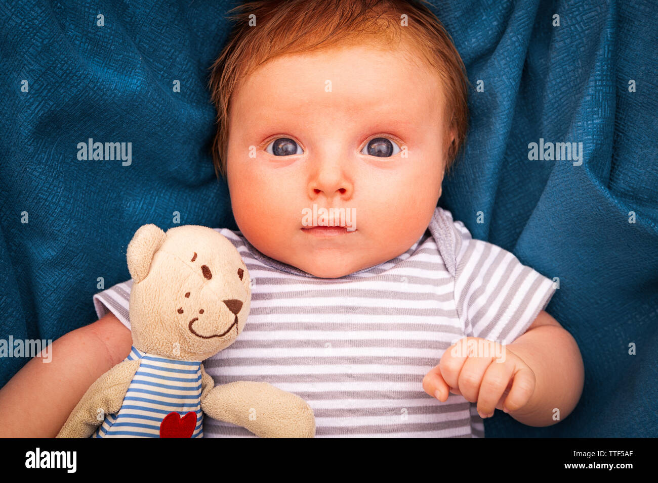 Retrato de un niño recién nacido, 1 mes de edad, en un bodysuit seccionado,  cabello rojo, ojos azules en la tapa azul sosteniendo un oso de peluche y  sonriente. Familia, l Fotografía