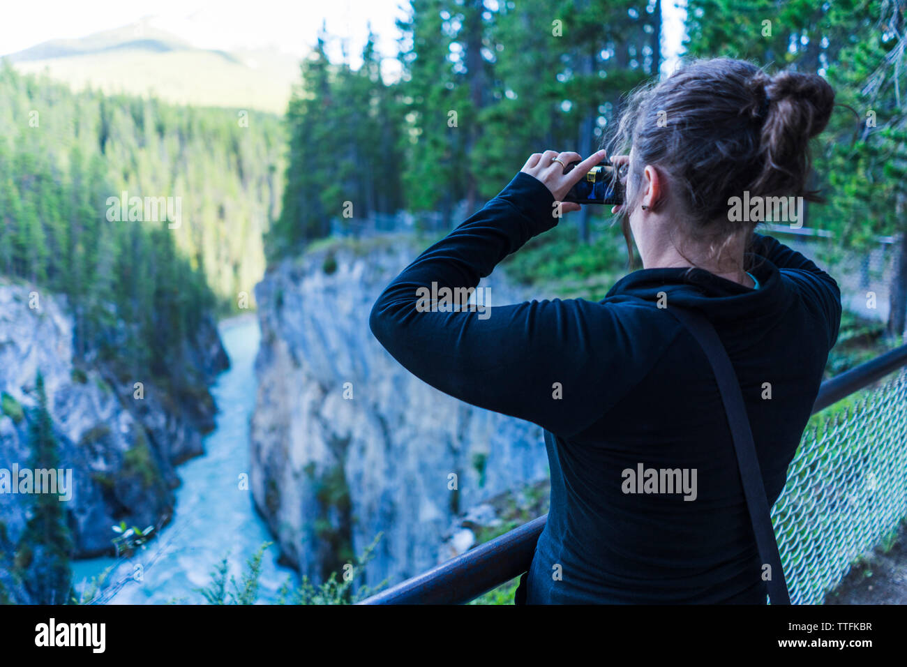 Vista trasera de la mujer fotografiando árboles mientras está parado en el punto de observación Foto de stock