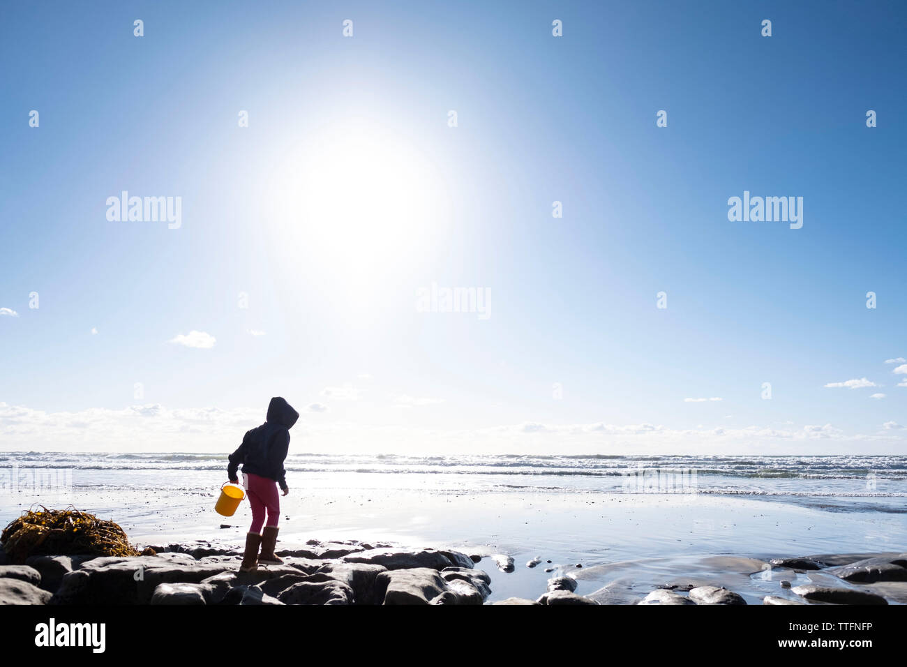 Niño con cubo amarillo en busca de conchas en la playa. Foto de stock