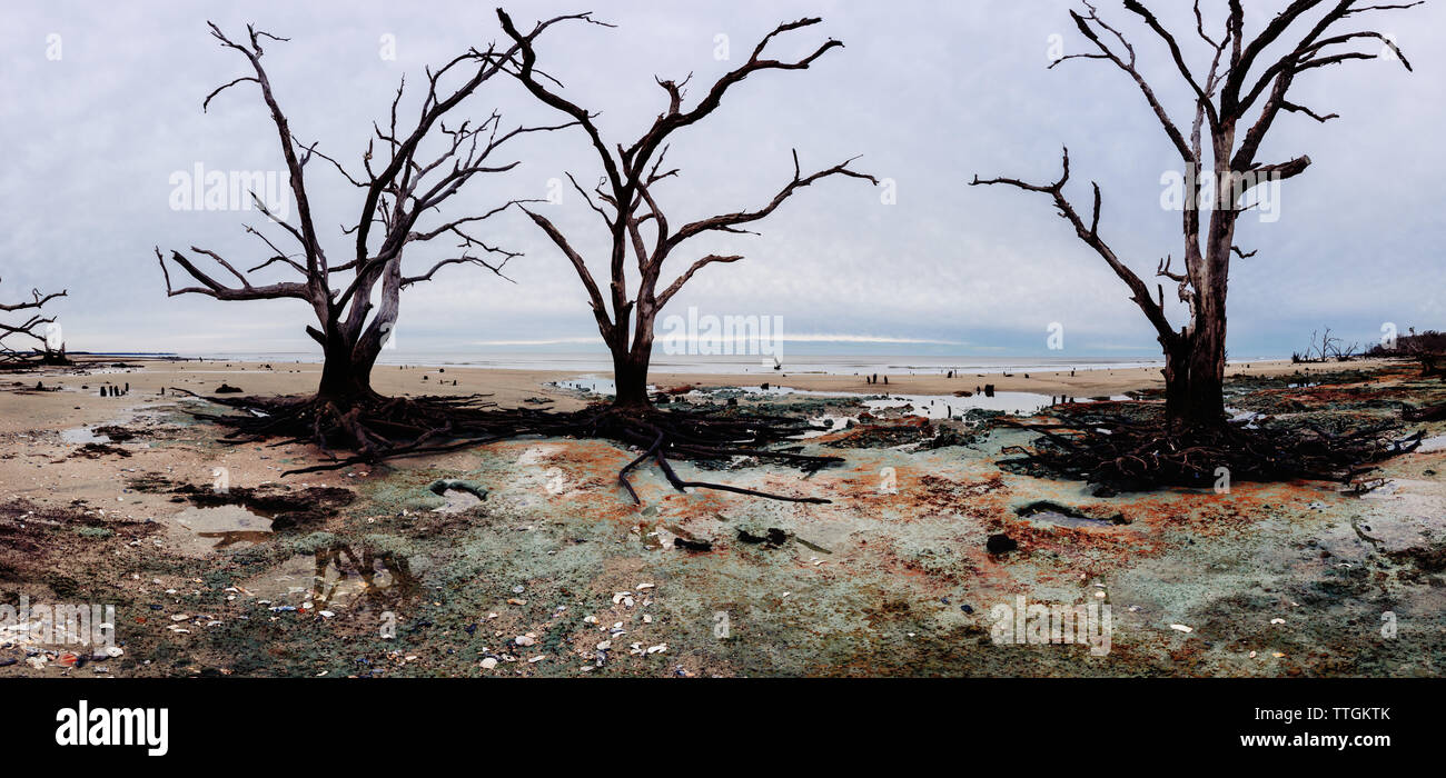 La playa de la bahía de Botany panorama al día nublado, Edisto Island, Carolina del Sur, EE.UU. Foto de stock