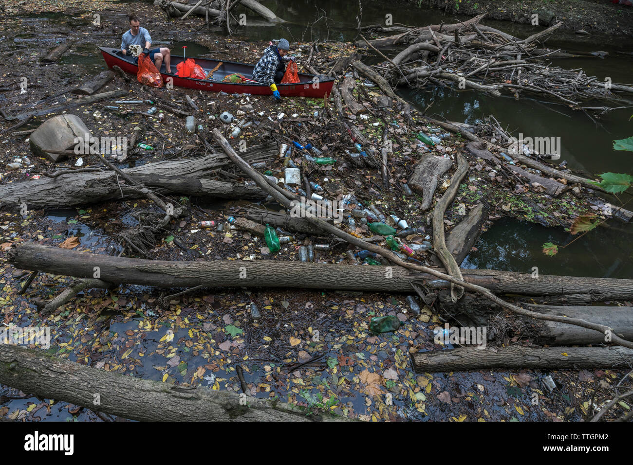 Una mujer voluntario recoger la basura en el río Ottawa, Toledo, Ohio Foto de stock