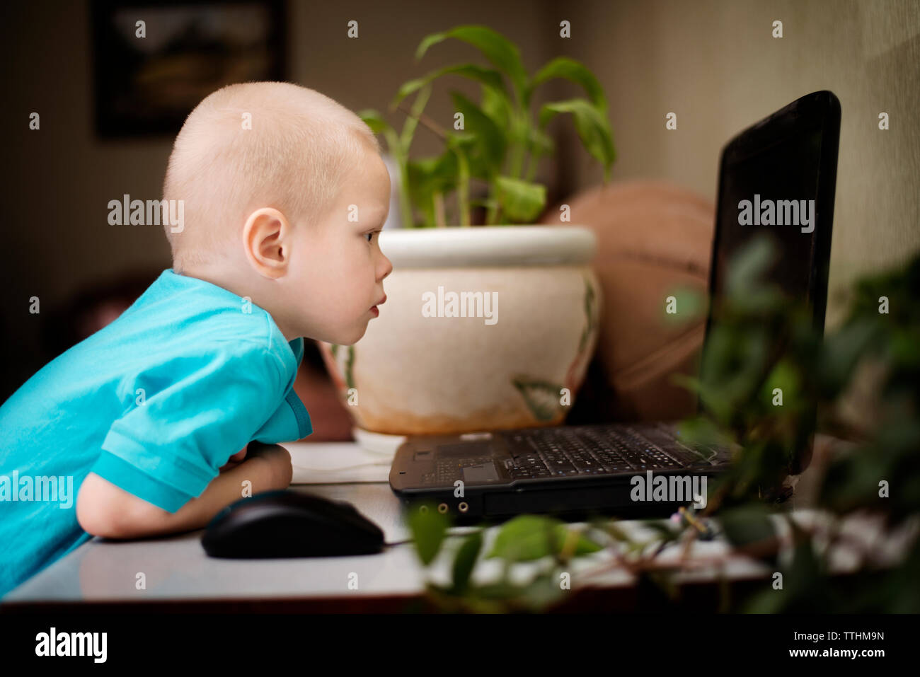 Ver perfil de niño curioso y mirar la pantalla de un ordenador portátil en casa Foto de stock