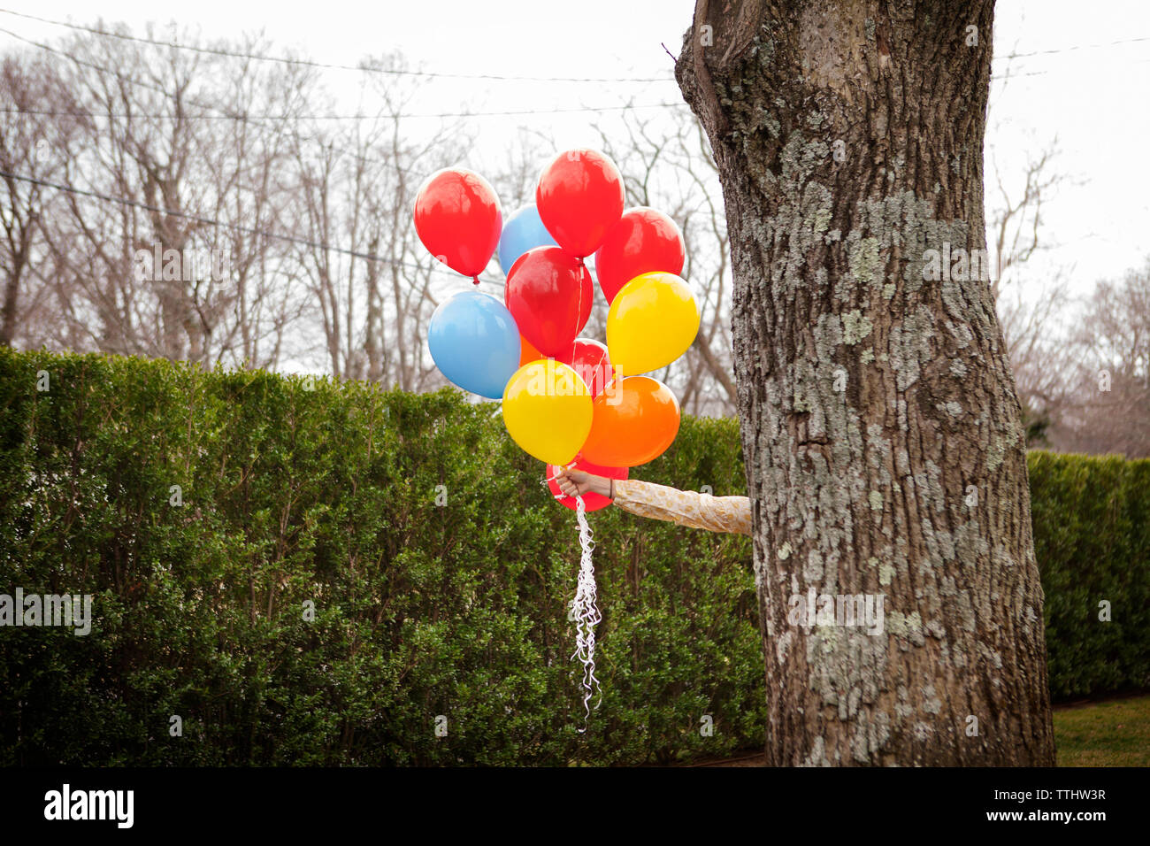 Mujer sosteniendo globos de helio mientras escondían detrás de árbol en el patio Foto de stock