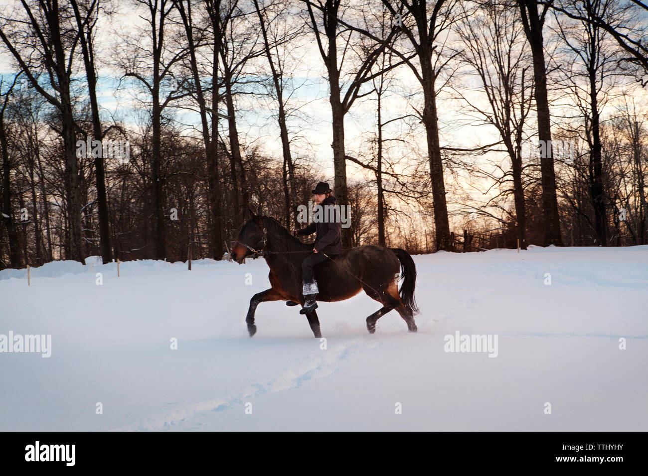 El hombre a caballo en el campo cubierto de nieve Foto de stock