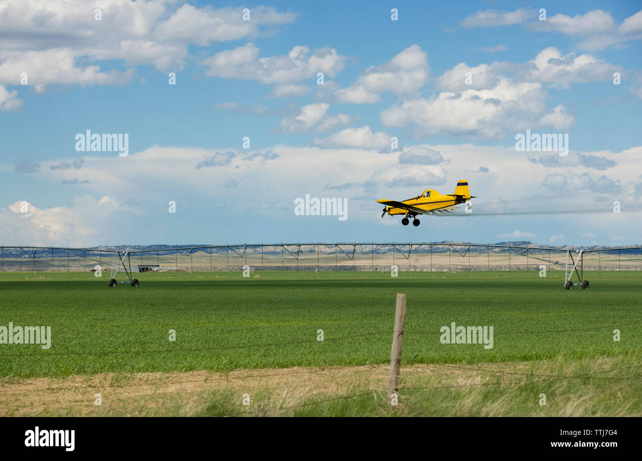 Avión aterrizando en el campo de hierba contra el cielo nublado Foto de stock