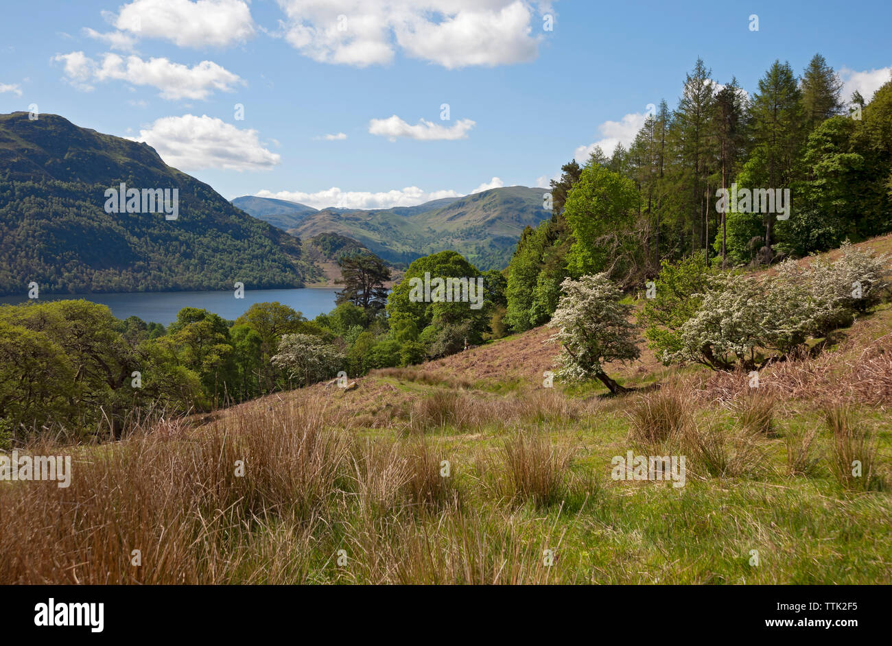 Mirando a través de Ullswater hacia el lugar cayó el Parque Nacional del Distrito de los lagos de Cumbria Inglaterra Reino Unido GB Gran Bretaña Foto de stock