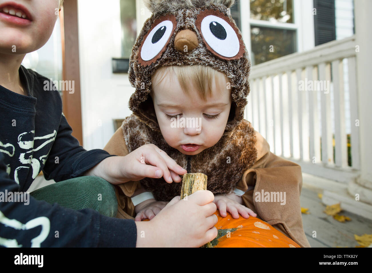 Niño niño vestido como un búho estrechamente inspecciona calabaza de Halloween Foto de stock