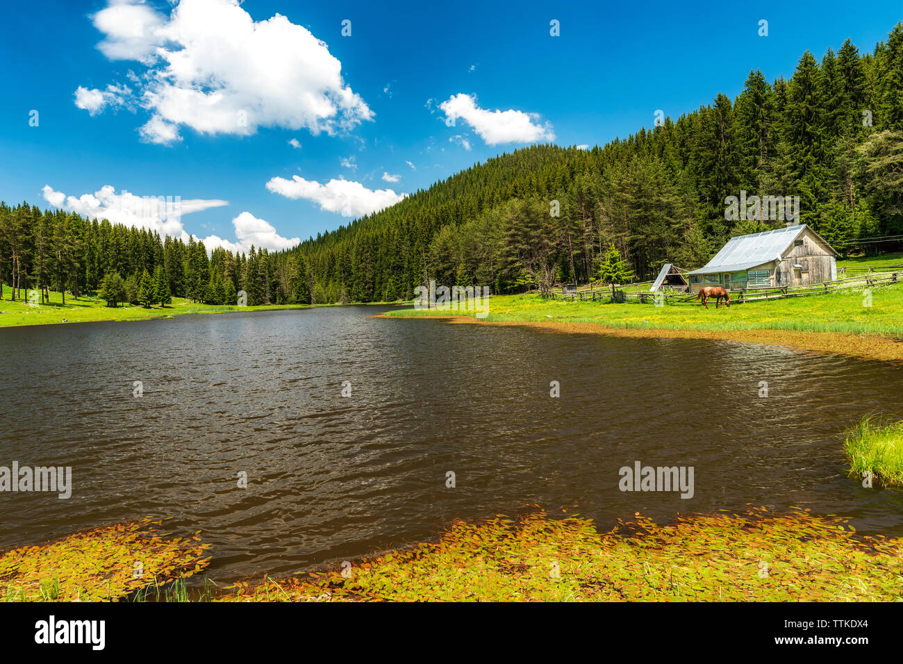 Verano en la montaña, el lago y la casa de madera escena rural Foto de stock