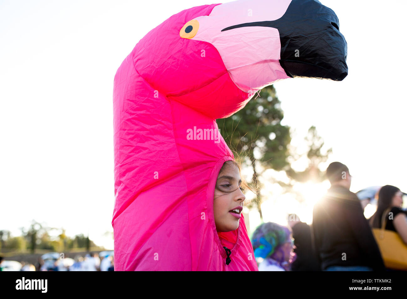 Captura del perfil de una chica en un disfraz de Halloween flamingo  Fotografía de stock - Alamy