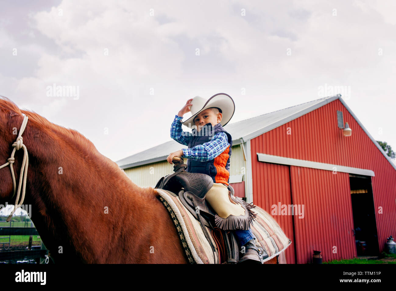 Lindo cowboy a caballo contra el cielo claro Foto de stock