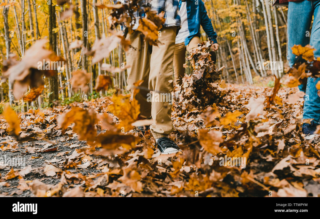 Bajo la sección de niños caminando sobre las hojas secas sobre el sendero en el bosque Foto de stock