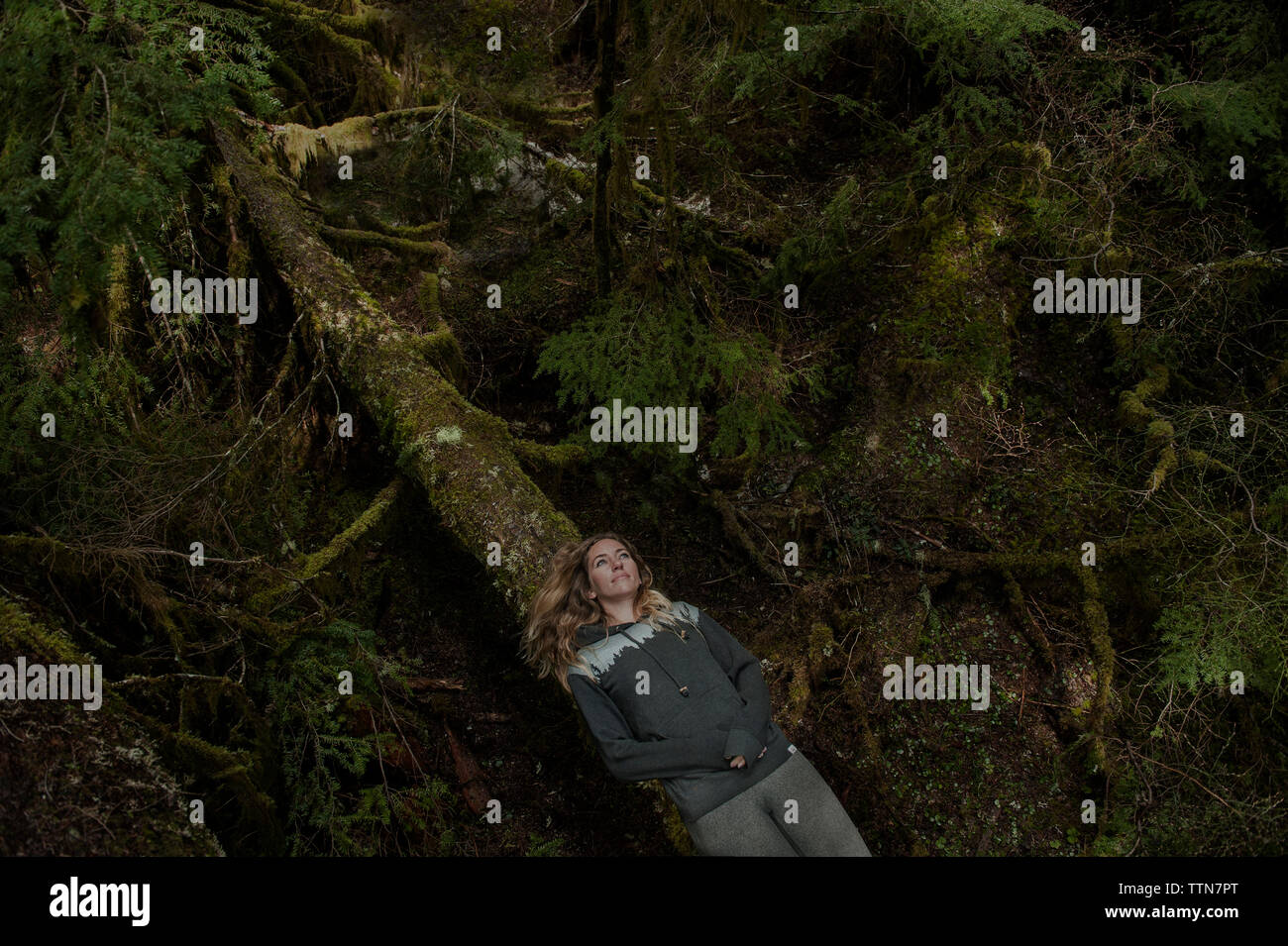 Un alto ángulo de vista reflexivo mujer acostada en log en el bosque Foto de stock