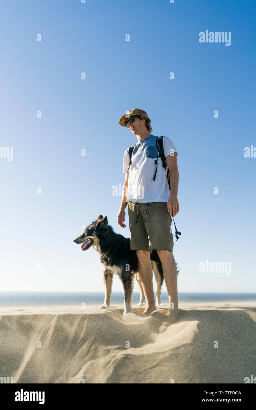 Hombre con perro de pie en la playa contra el cielo azul claro Foto de stock
