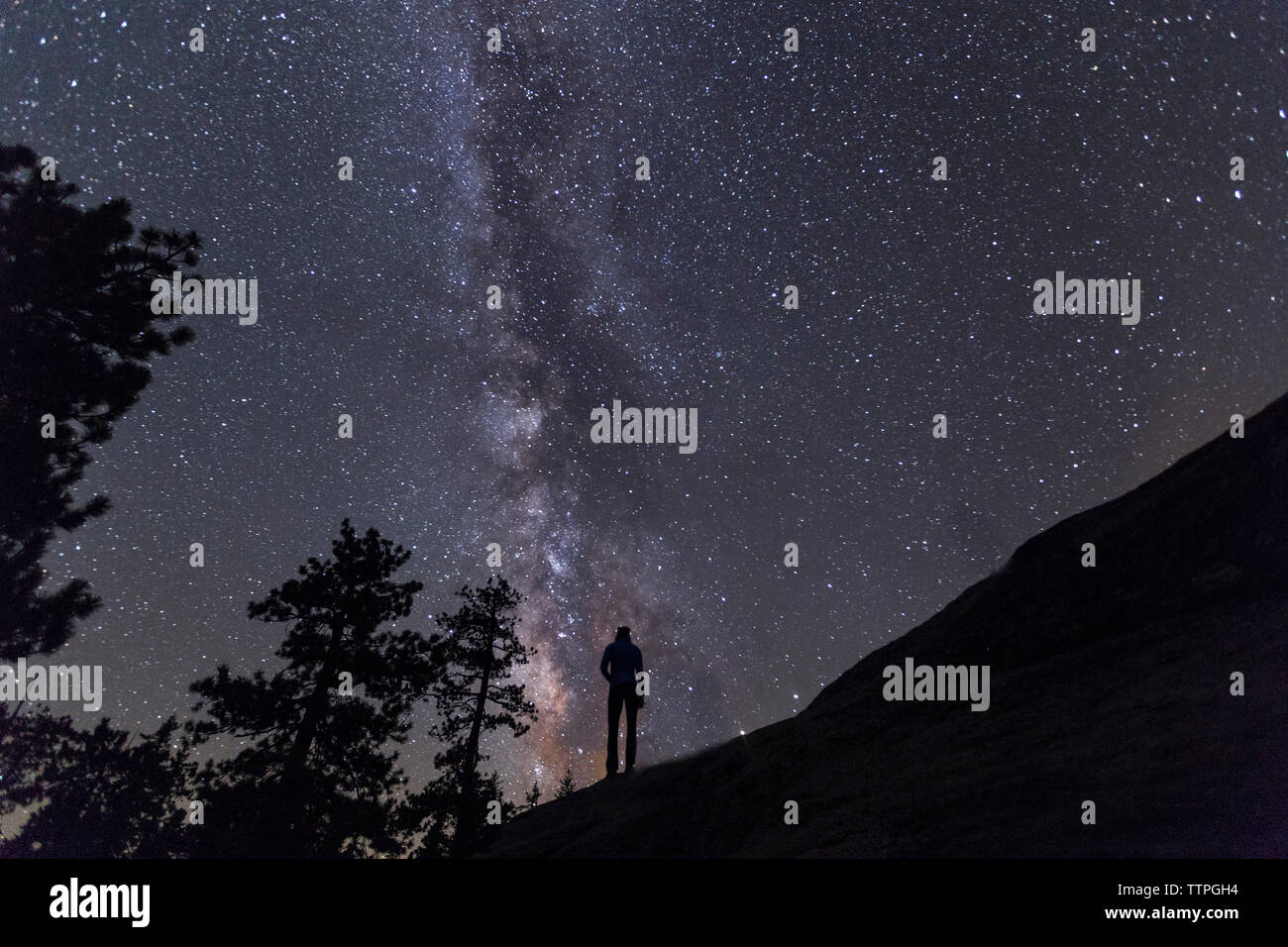 Silueta de Mujer de pie contra el campo de estrellas por la noche Foto de stock