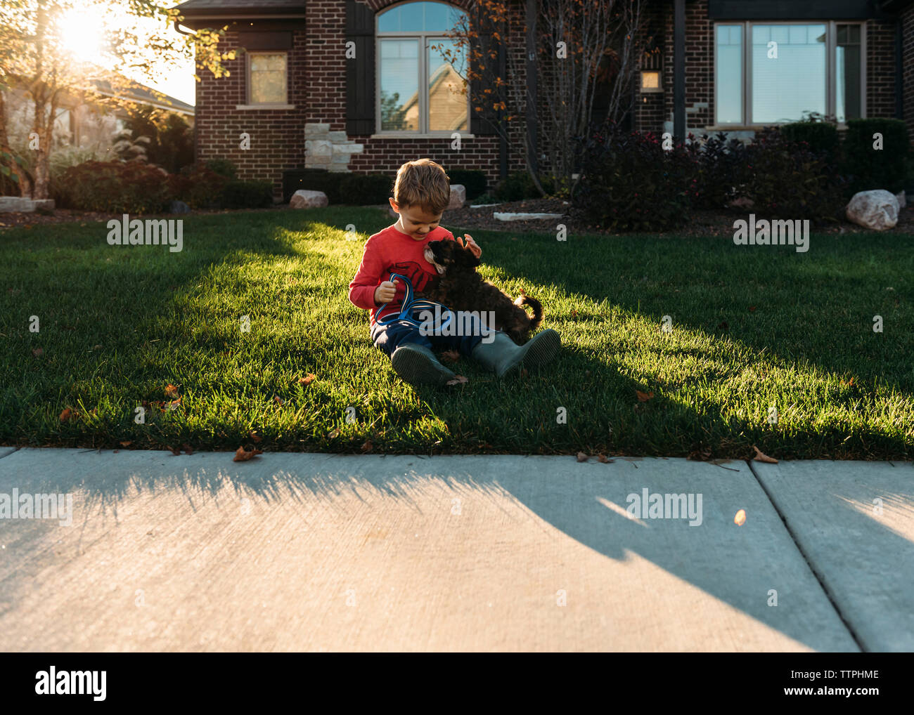 Niño jugando con perro en campo de hierba en el patio Foto de stock