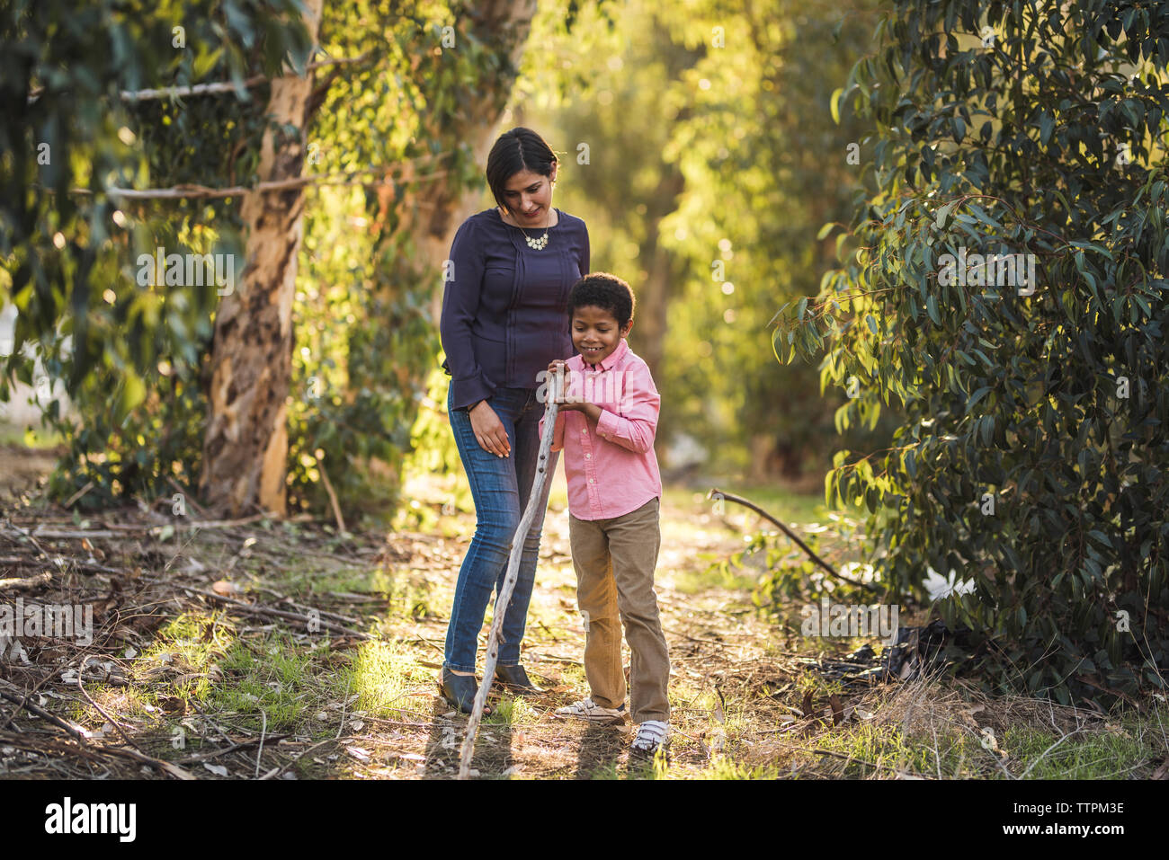 Madre Mira hijo jugando con bastón en el bosque Fotografía de stock - Alamy