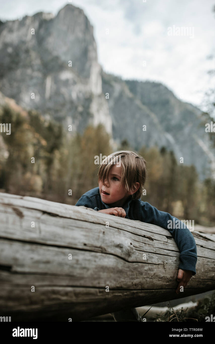 Chico llevando registro en bosque contra las montañas en el Parque Nacional Yosemite Foto de stock