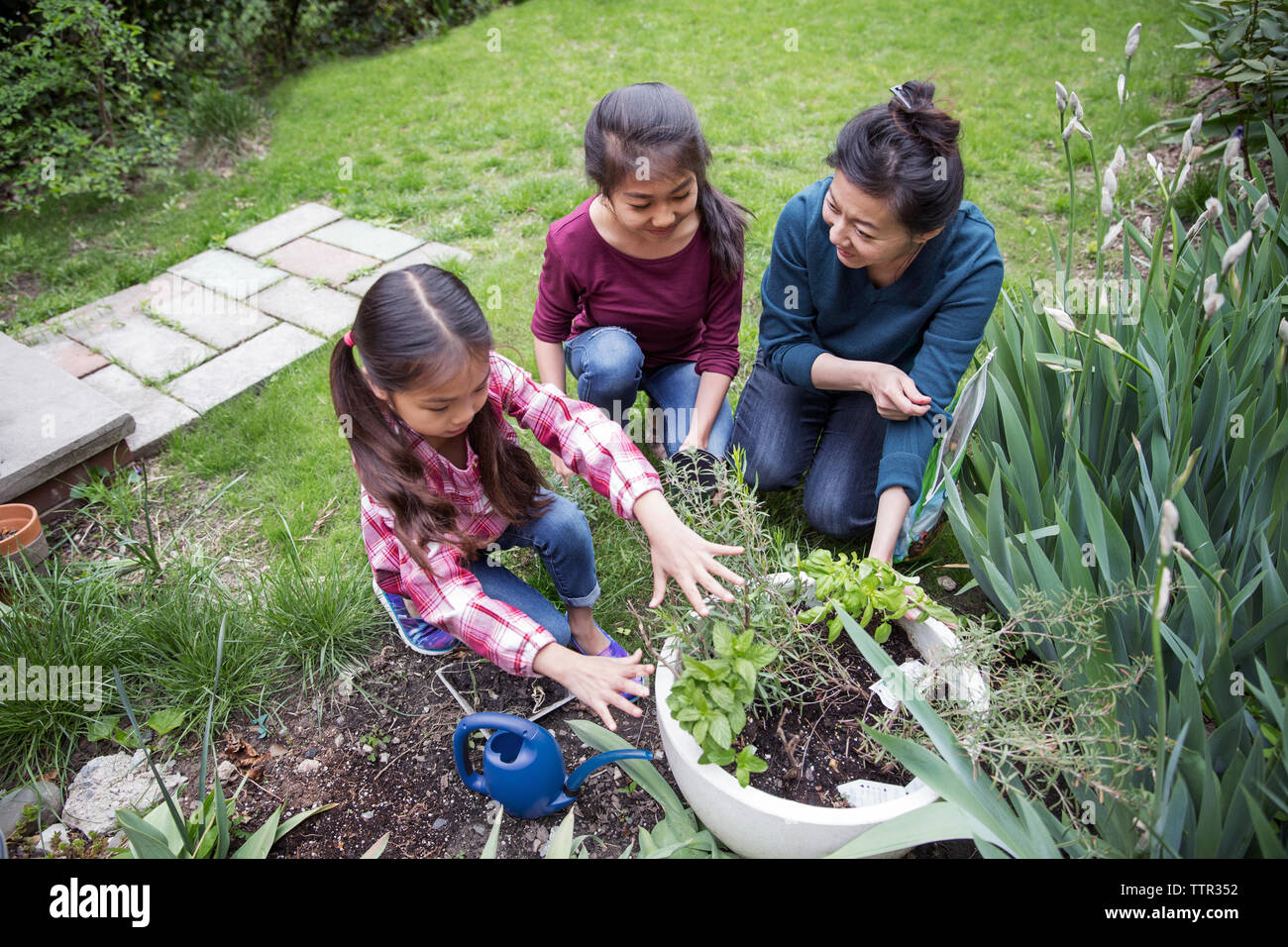 Un alto ángulo de visualización de jardinería en el patio de la familia Foto de stock