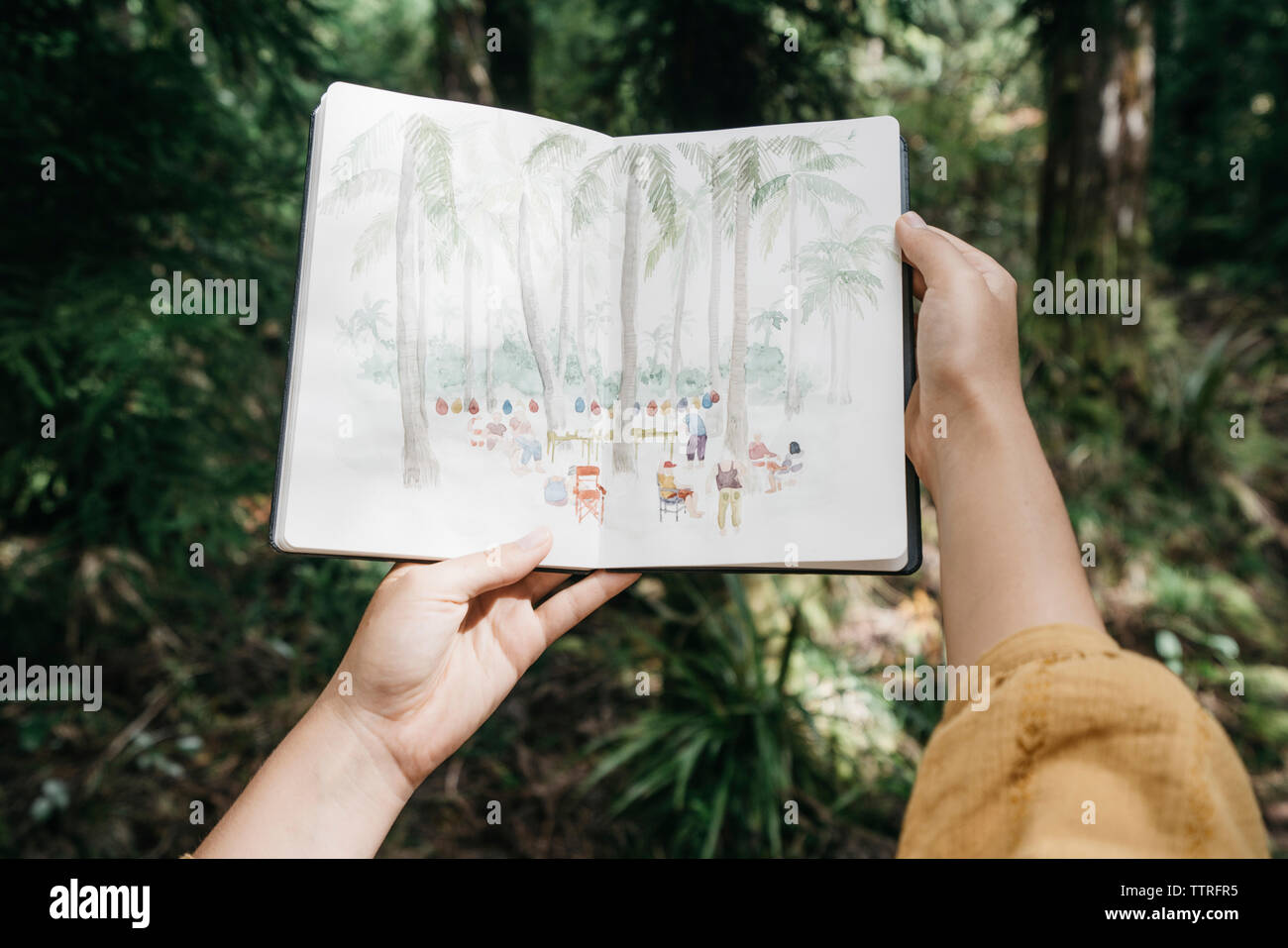 Recortada de manos de mujer sosteniendo en el bosque libro Foto de stock