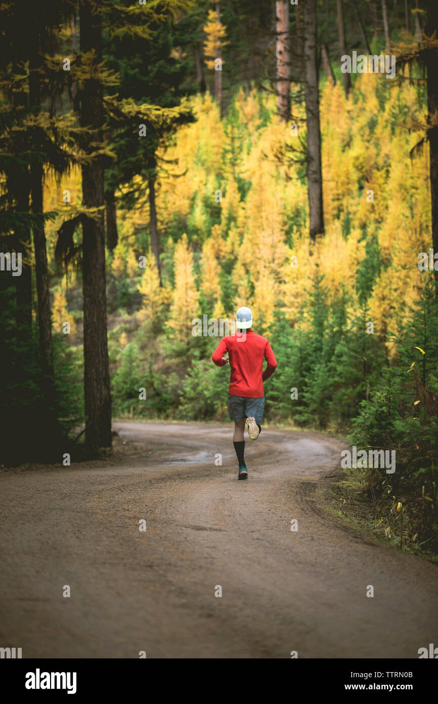 Vista trasera del hombre footing en la calle en medio de los árboles durante el otoño Foto de stock