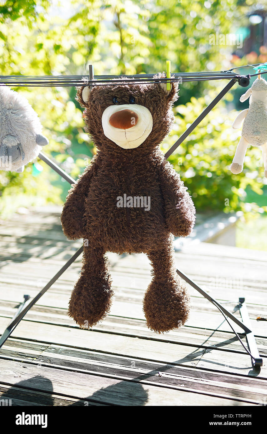 Close-up de los juguetes de peluche de secado en tendedero Foto de stock