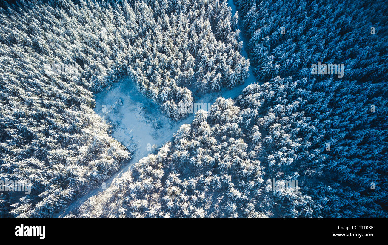 Bosque de invierno Fotografía aérea Foto de stock