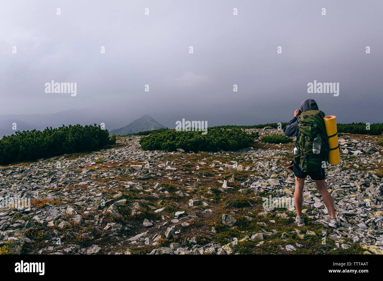 Vista trasera del excursionista de montaña permanente durante la niebla Foto de stock